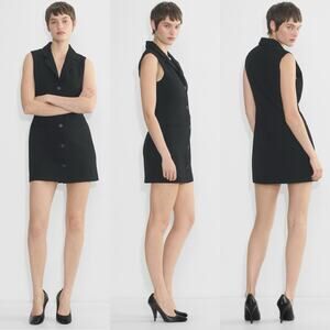Babaton Aritzia Mastermind Black Sleeveless Blazer Dress